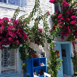 Alaçatı Frida , Çeşme Türkiye